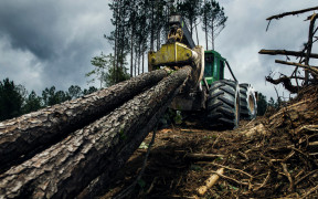 extreme tyres environments