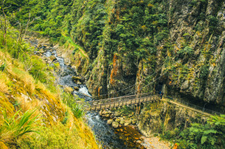 Karangahake gorge