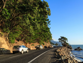 Variety of vehicles driving on NZ roads.