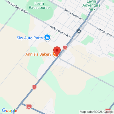 orizen tyres levin map