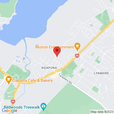 vinnys workshop rotorua map